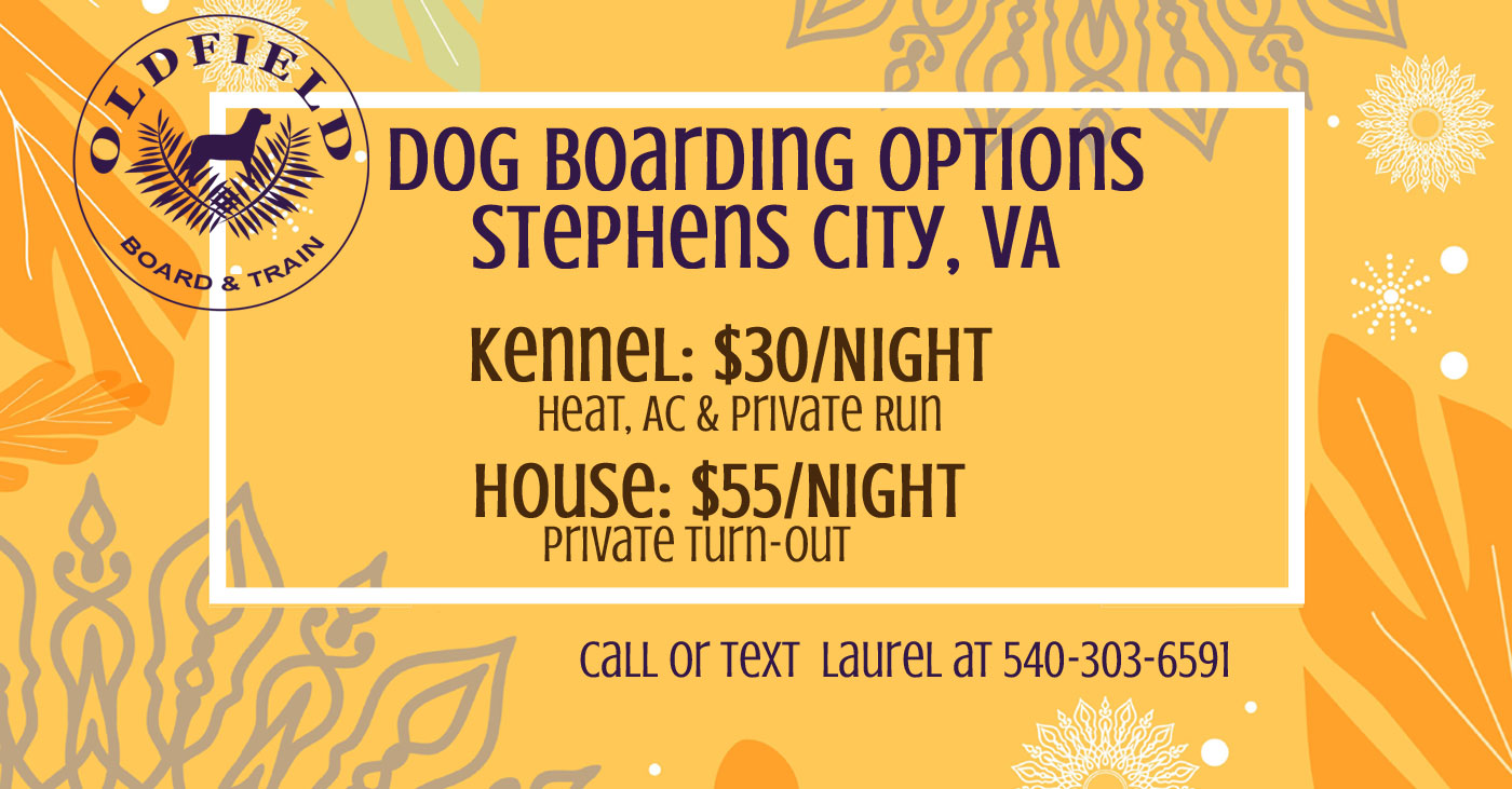 Dog Boarding in Northern Virginia